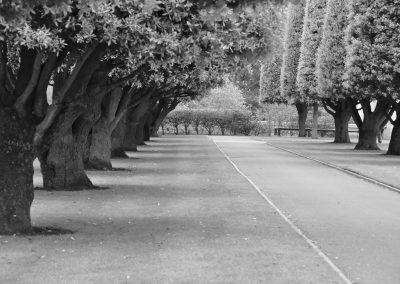 American Cemetery Black & White