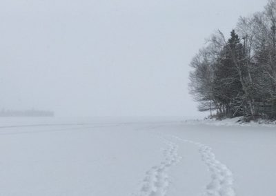 Frozen Lake Tracks